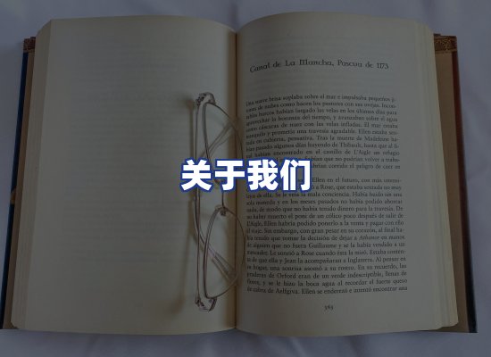 专业团队